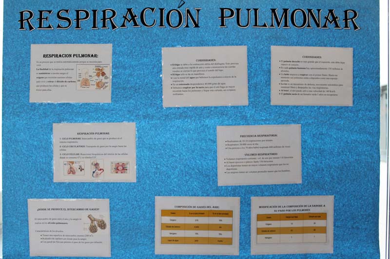 Semana Ciencias en Los Tilos